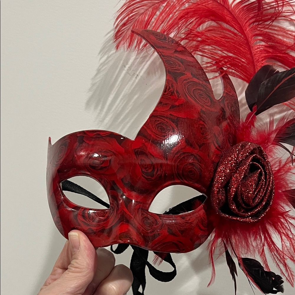 Red and Black Feathered Masquerade Mask